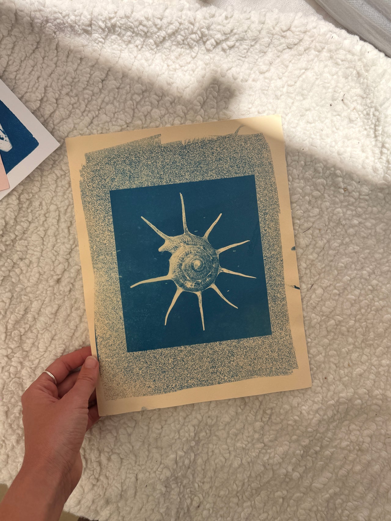 8.5x11"  | Original Cyanotype Prints | Ready to Ship