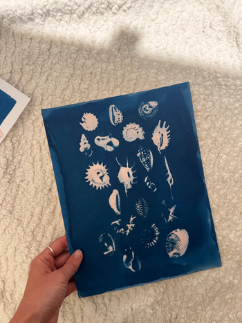 8.5x11"  | Original Cyanotype Prints | Ready to Ship