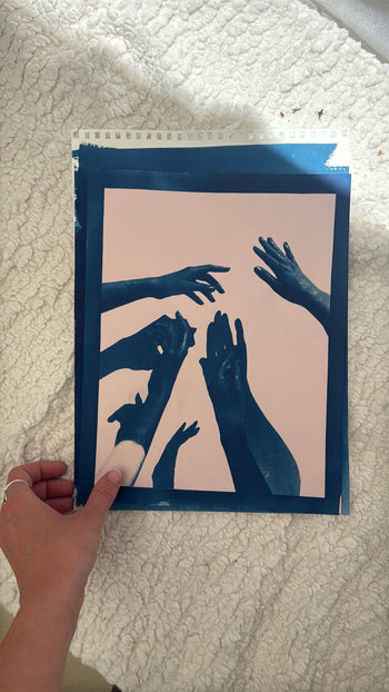 8.5x11"  | Original Cyanotype Prints | Ready to Ship