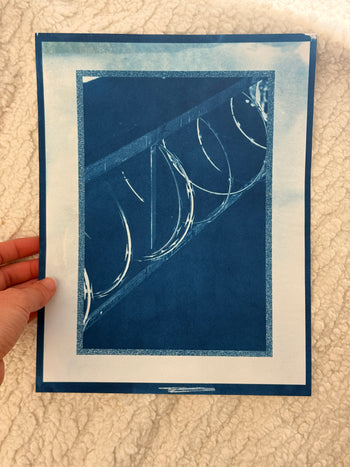 8.5x11"  | Original Cyanotype Prints | Ready to Ship