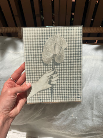 6x8"  | Original Cyanotype Prints | Ready to Ship