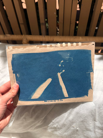 6x8"  | Original Cyanotype Prints | Ready to Ship