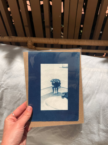 6x8"  | Original Cyanotype Prints | Ready to Ship