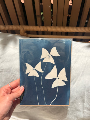 6x8"  | Original Cyanotype Prints | Ready to Ship