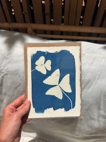6x8"  | Original Cyanotype Prints | Ready to Ship