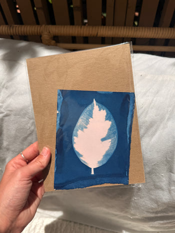 6x8"  | Original Cyanotype Prints | Ready to Ship