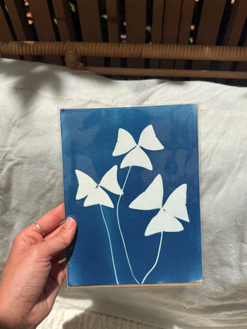 6x8"  | Original Cyanotype Prints | Ready to Ship