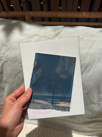 6x8"  | Original Cyanotype Prints | Ready to Ship