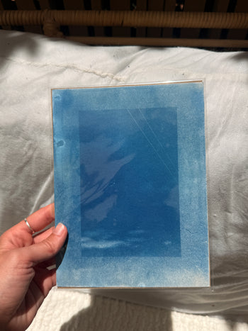 6x8"  | Original Cyanotype Prints | Ready to Ship
