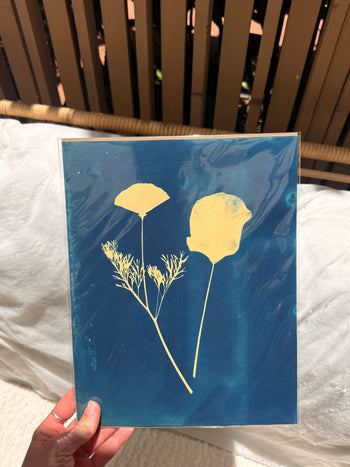 8.5x11"  | Original Cyanotype Prints | Ready to Ship