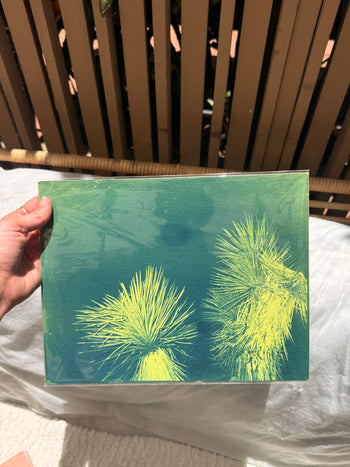 8.5x11"  | Original Cyanotype Prints | Ready to Ship