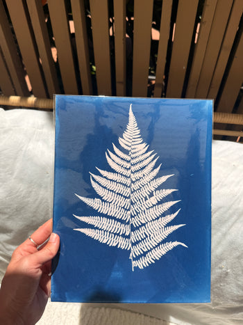 8.5x11"  | Original Cyanotype Prints | Ready to Ship