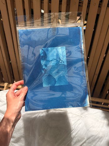 8.5x11"  | Original Cyanotype Prints | Ready to Ship
