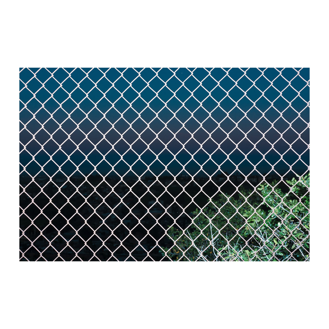 Fence #14, 2022