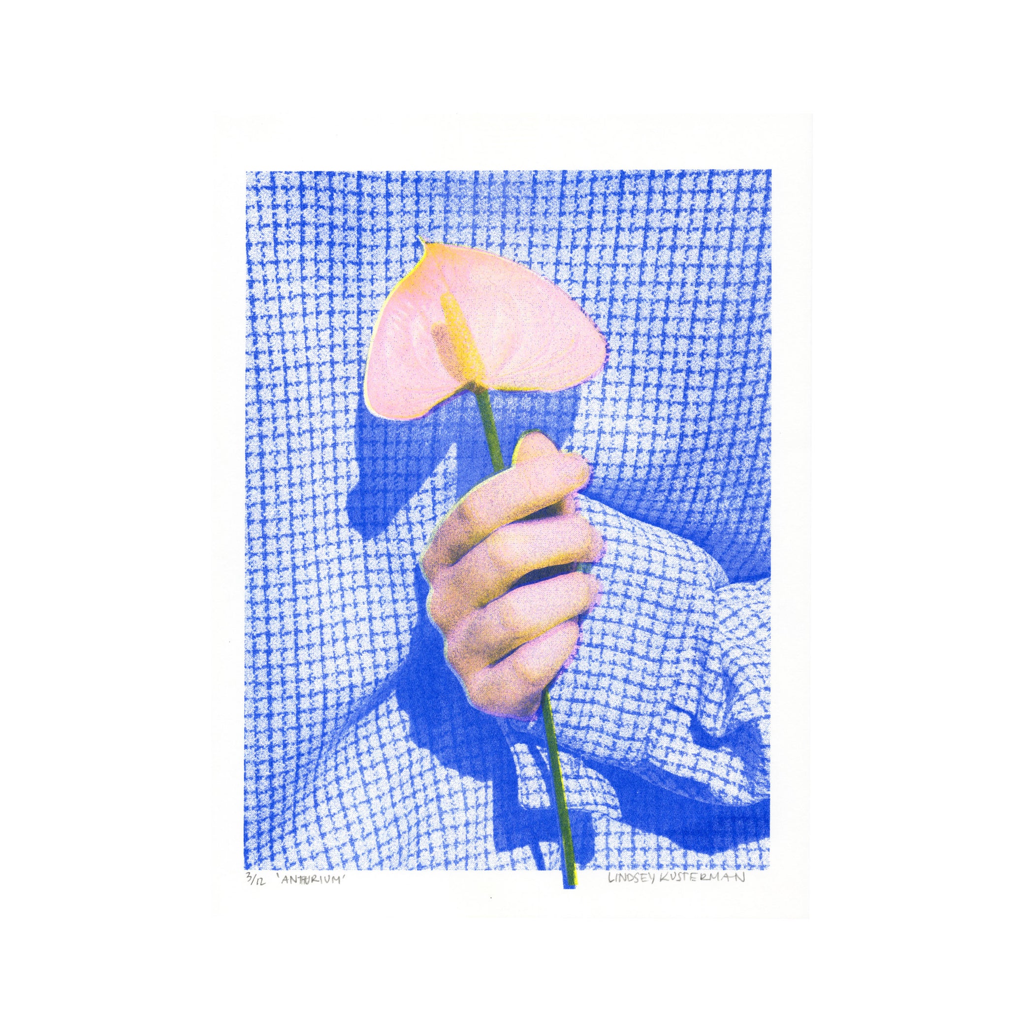 anthurium print Anthurium, 2024. Sky Blue | Risograph Print